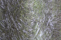 Jennyfield fibreglass roof work